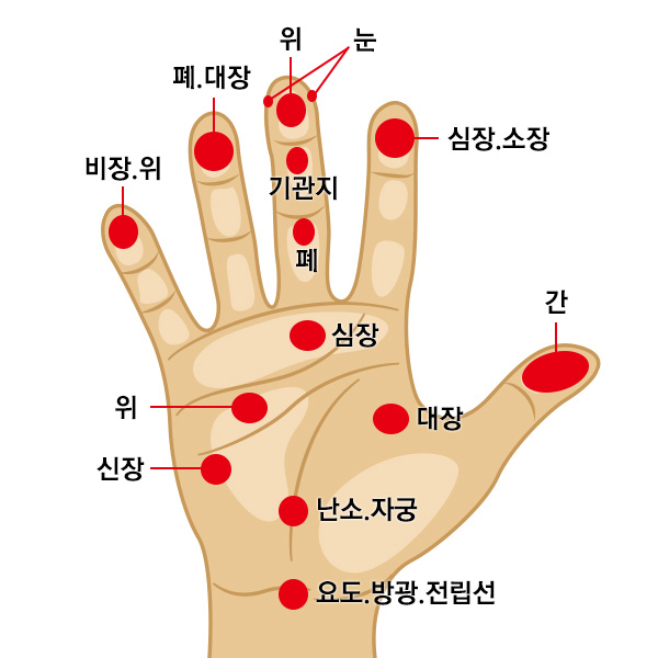 [생활의 지혜] 하루 5분 혈자리 지압법