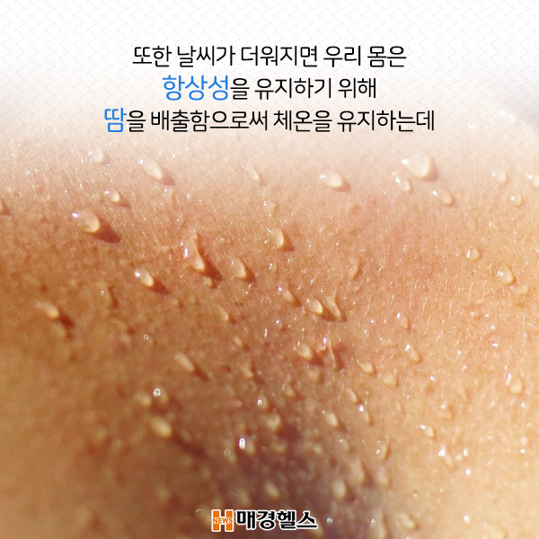 카드뉴스 뚱뚱하면 더위 잘 타는 이유 건강스펀지 카드뉴스 기사본문 매경헬스