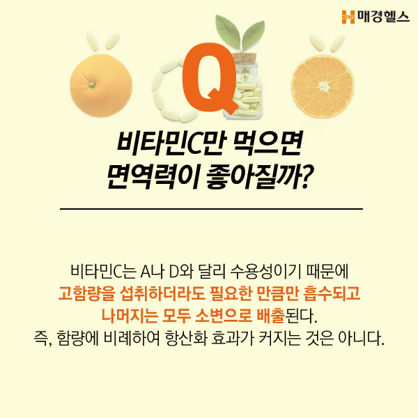 비타민C를 간단하게 오가닉 플레이로 섭취합시다. 5