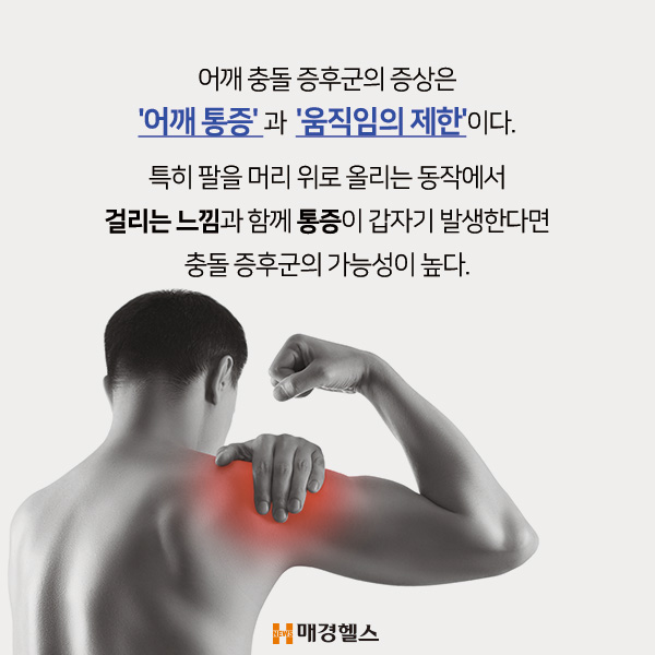 증후군 어깨 충돌 [트레이닝다이어리] 어깨