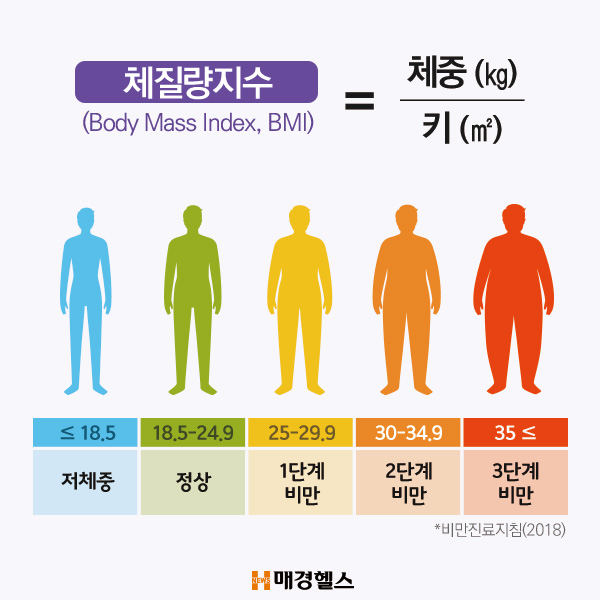 알쓸건잡 뚱뚱하다고 다 비만은 아니다 5891