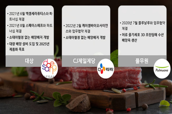 어미 소 죽여 만드는 '배양육'…국내 업계