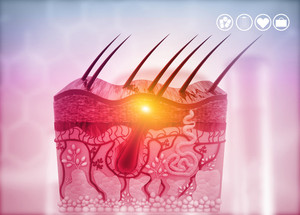 [스킨부스터 진화㊥] '인체유래 ECM' 급부상...시장 경쟁 격화 예고 - 뉴스 썸네일 이미지