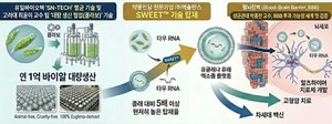 세계 최초로 '유글레나 유래 엑소좀' 혈뇌장벽(BBB) 투과 가능성 확인 - 뉴스 썸네일 이미지